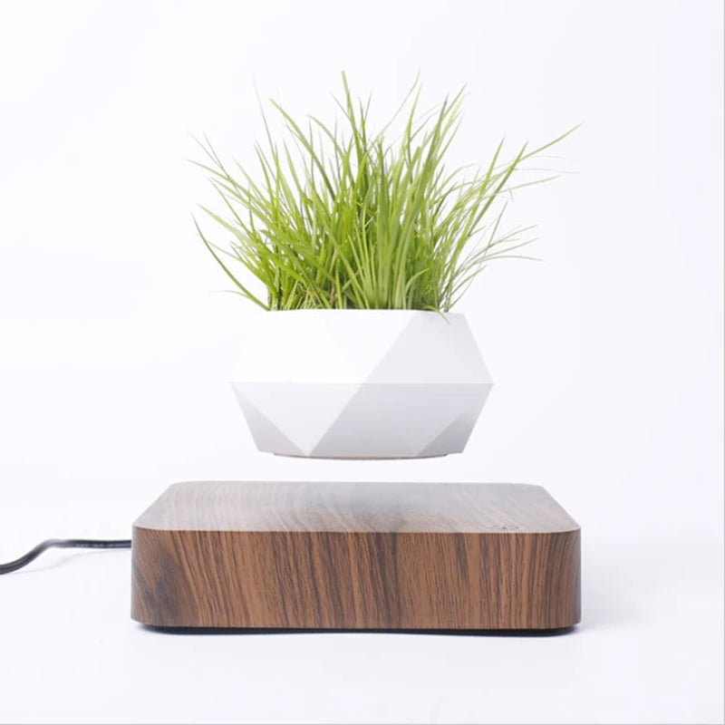 Levitating Air Bonsai Pot Rotation Flower Pot Planters Magnetic Suspension Floating Pot Potted Plant Home Desk Decor