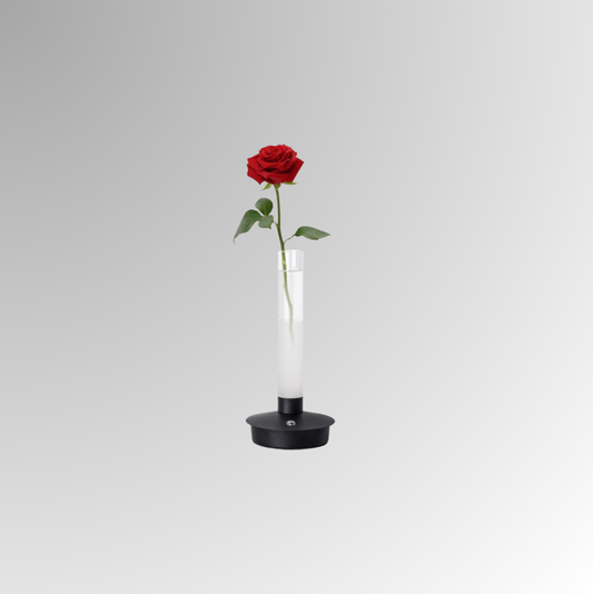 Minimalist Glass Vase Lamp